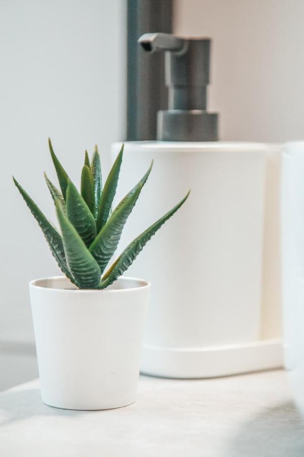 The Green Apartment لارنكا المظهر الخارجي الصورة
